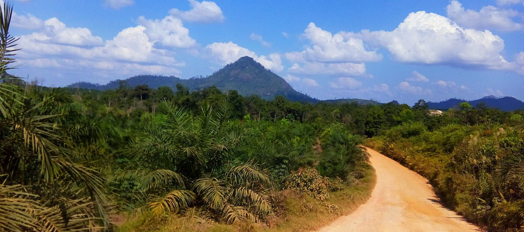 Crude Palm Oil & Derivatives